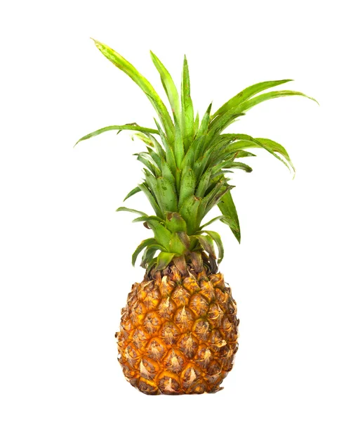 Reife Ananas isoliert auf weiß — Stockfoto