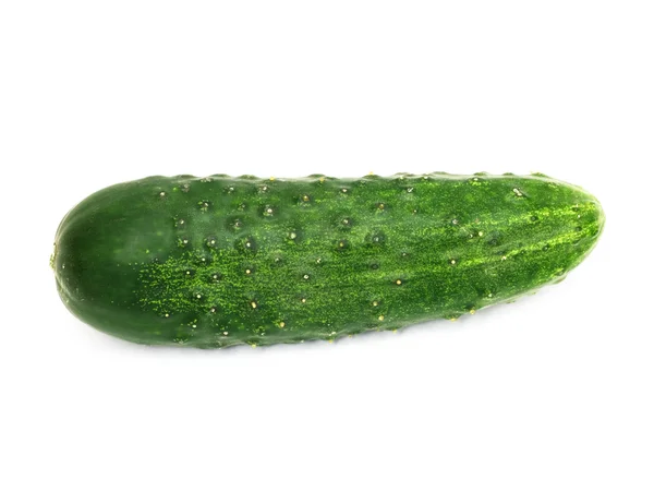 Groene komkommer, geïsoleerd op witte achtergrond — Stockfoto