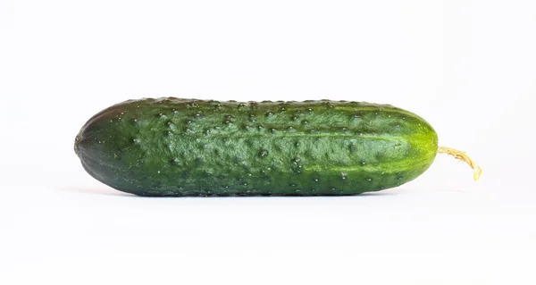 Één komkommer, geïsoleerd over Wit — Stockfoto