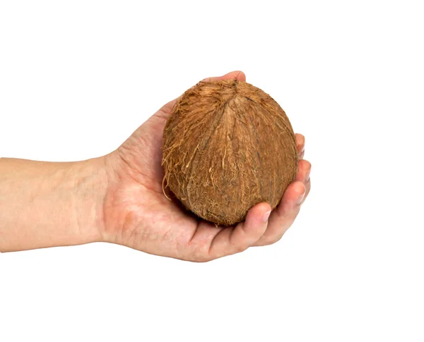 Kokosnoot close-up in mijn hand geïsoleerd op witte achtergrond. — Stockfoto