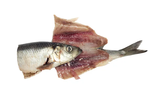 Salted herring isolated on the white background — Stock Photo, Image