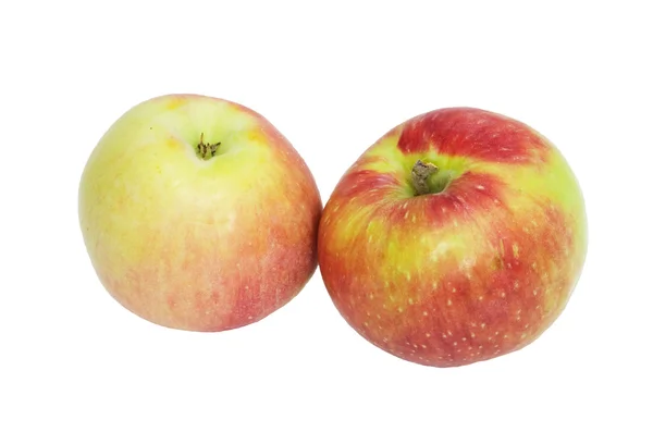Beyaz arkaplanda elma — Stok fotoğraf