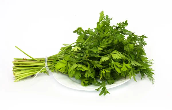 Dill and parsley at platw isolated on a white background — Stock Photo, Image
