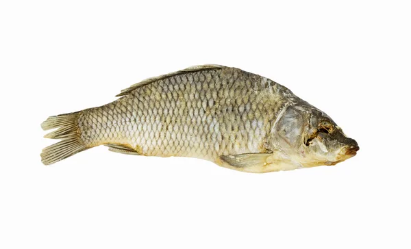 Torkad fisk isolerad på vit bakgrund — Stockfoto