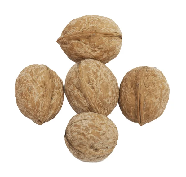 Kavkazská vlašské ořechy izolovaných na bílém — Stock fotografie