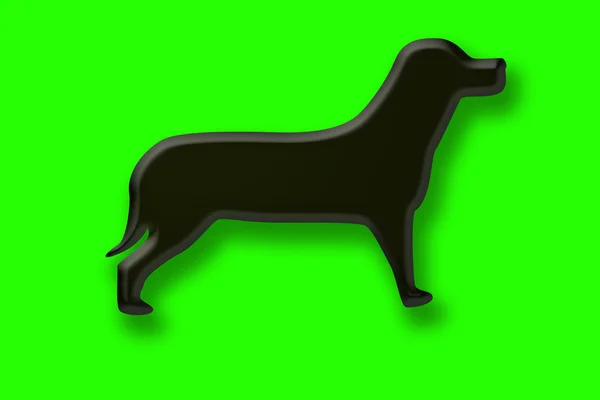 Hund på grön bakgrund — Stockfoto