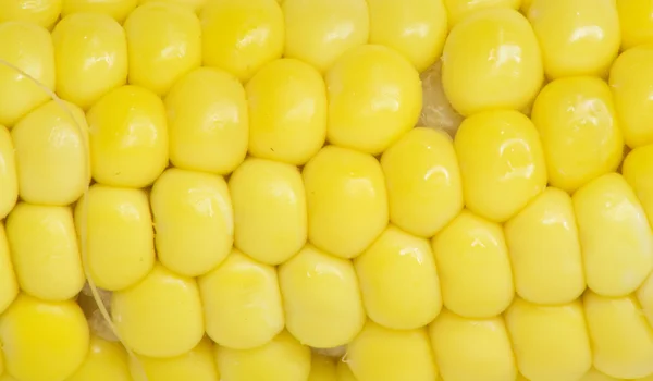 Kukuřice. makro — Stock fotografie