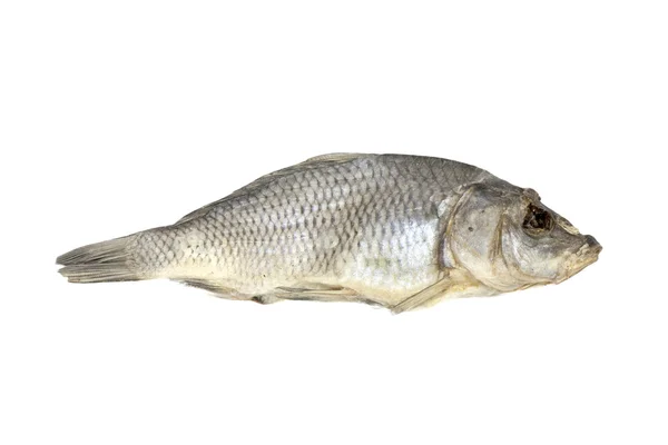 Kurutulmuş balık beyaz zemin üzerine ayrılan — Stok fotoğraf