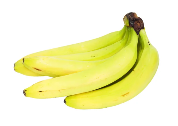 Reife Bananenstauden — Stockfoto