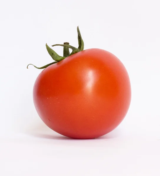 Eine Tomate — Stockfoto