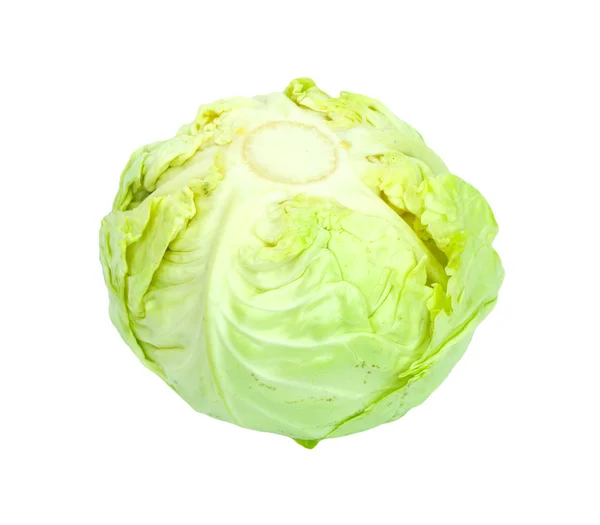 被白色背景隔离的绿色卷心菜. — 图库照片