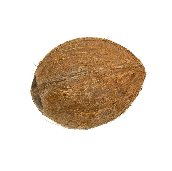 Kokosnöt isolerad på vit bakgrund — Stockfoto