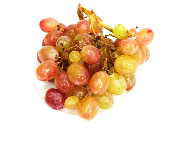 新鲜葡萄 — 图库照片