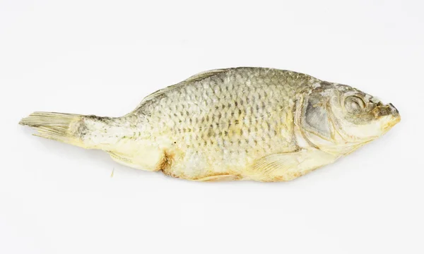 Сушеная рыба на белом фоне — стоковое фото