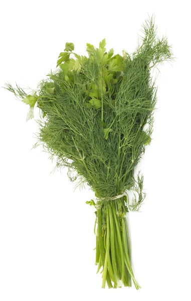 Dill and parsley isolated on a white background — Stock Photo, Image