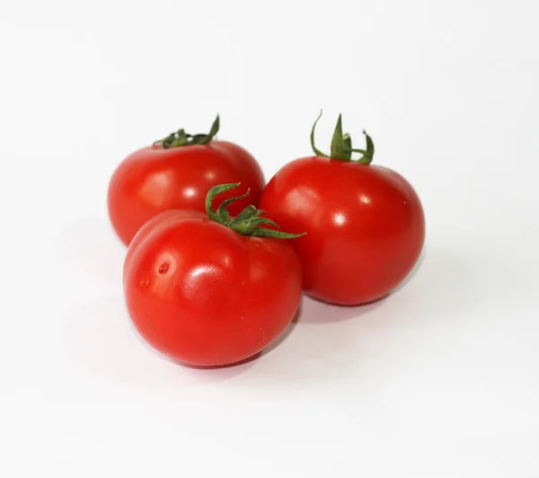 Tomatos — Stock fotografie