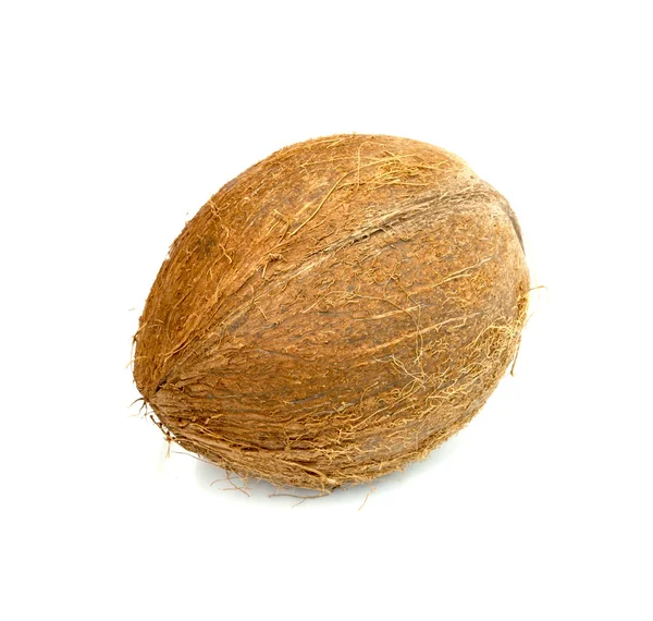 Orzech kokosowy izolowany na białym tle — Zdjęcie stockowe