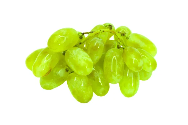 Taze yeşil üzümler. Beyazda izole edilmiş — Stok fotoğraf
