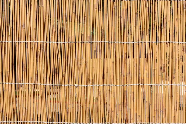 Tekstura trzciny — Zdjęcie stockowe