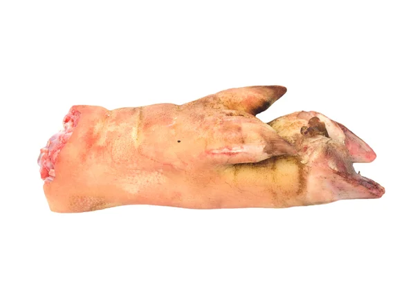 Varkensvlees been op witte achtergrond — Stockfoto
