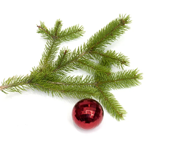 Bola de árbol de Navidad colgando de una rama de árbol de Navidad, aislado —  Fotos de Stock