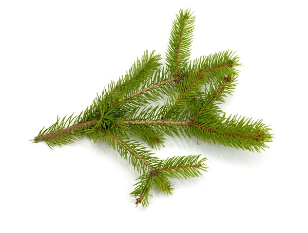Natale quadro verde isolato su sfondo bianco — Foto Stock