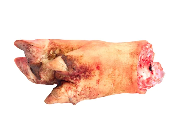 猪腿肉在白色背景上 — 图库照片