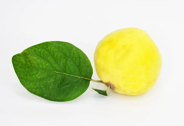 Object on white - food quince close up — Stock Photo, Image