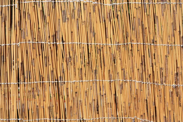 Тростниковая текстура — стоковое фото