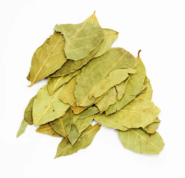 Montón de hojas de laurel sobre fondo blanco —  Fotos de Stock