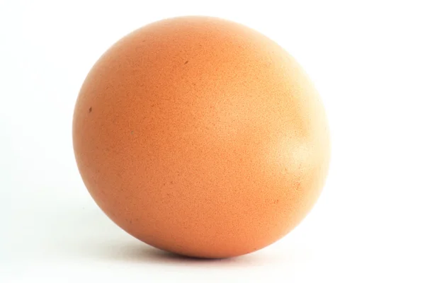 Яйцо. macro — стоковое фото
