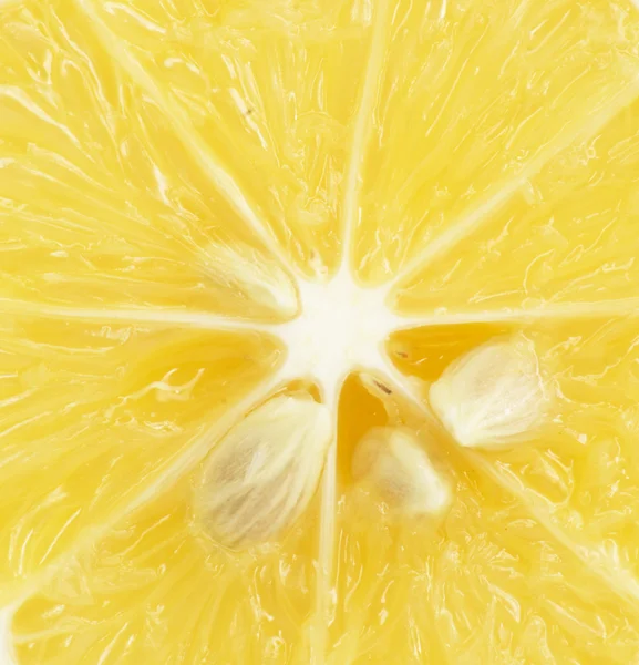 Citron. makro — Stockfoto