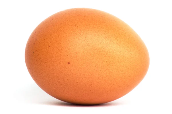 Αυγό. μακροεντολή — Φωτογραφία Αρχείου