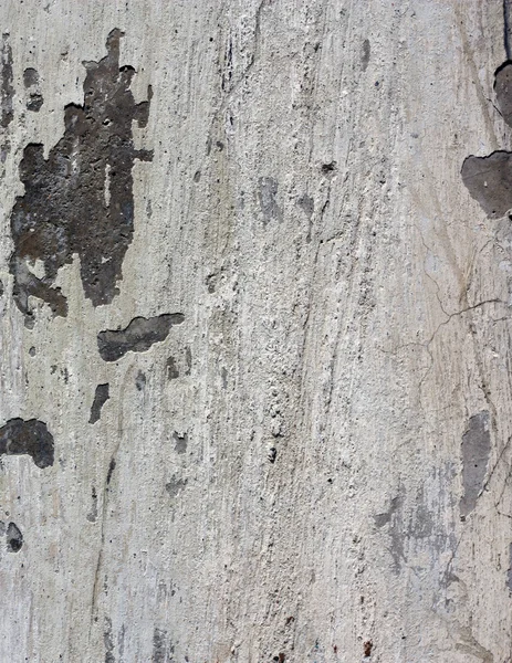 Tüm arka plan üzerinde paneli Çimento Beton duvar — Stok fotoğraf