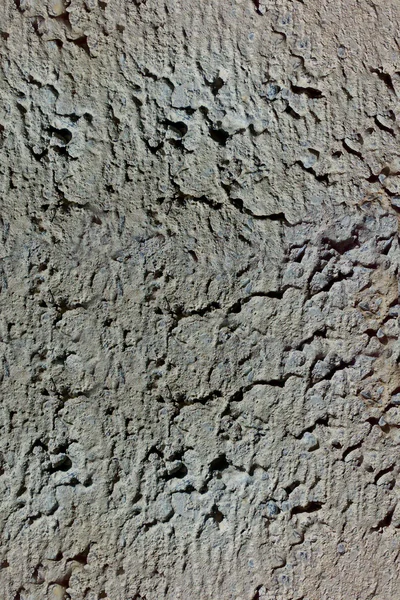 Betonová textura — Stock fotografie