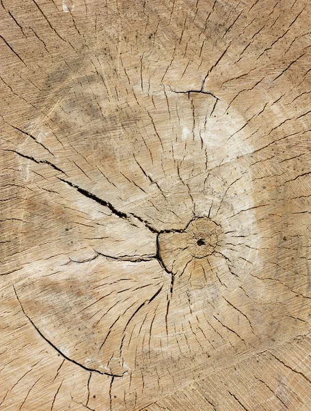 Textura de madera. Se puede usar como el fondo . —  Fotos de Stock