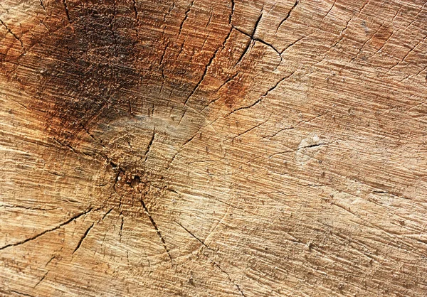 Textura de madera. Se puede usar como el fondo . —  Fotos de Stock