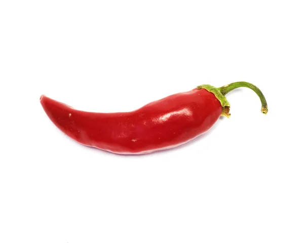 Red chilly Royalty Free Stock Photos