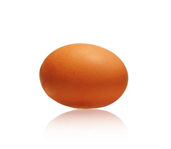 Одне яйце на білому тлі — стокове фото