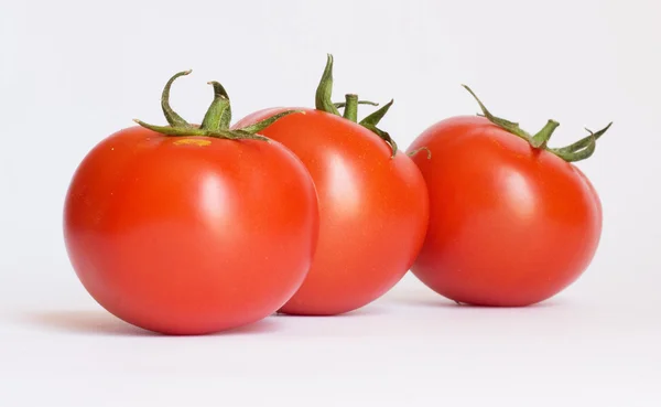 西红柿 — 图库照片