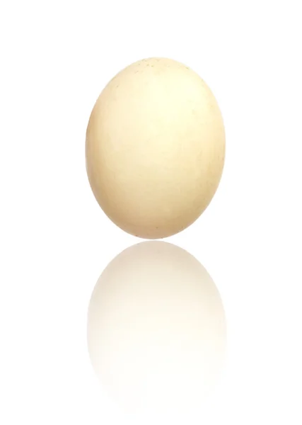 Egg 的一只鸭子 — 图库照片