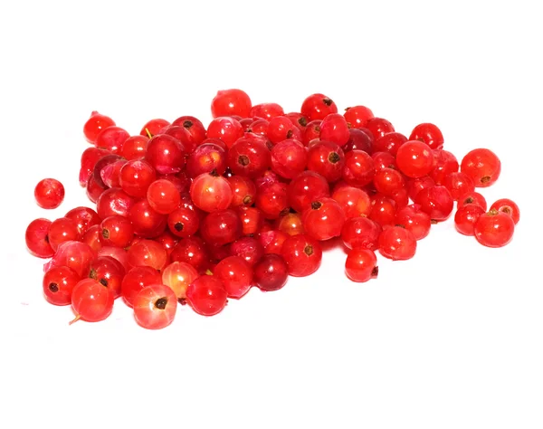 Beyaz arkaplanda kırmızı frenk üzümü — Stok fotoğraf