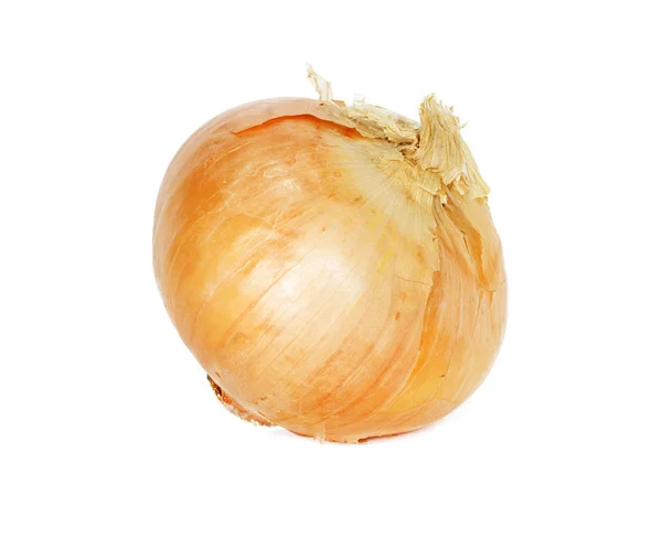 Einzelne Zwiebelzwiebel isoliert auf weißem Hintergrund — Stockfoto