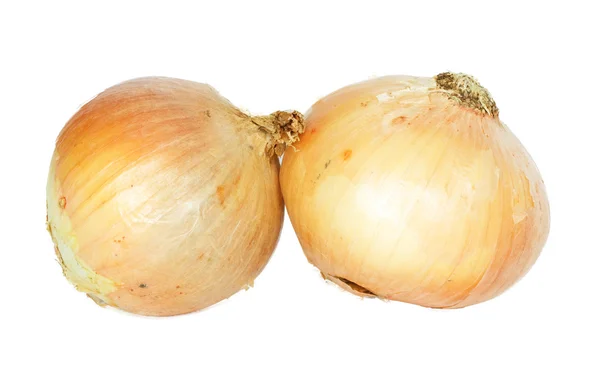 Pair of onions / w clipping path — стоковое фото