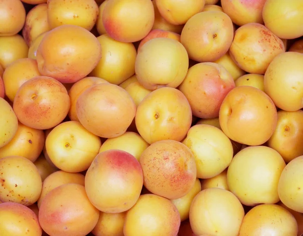 Fond d'abricot naturel frais — Photo