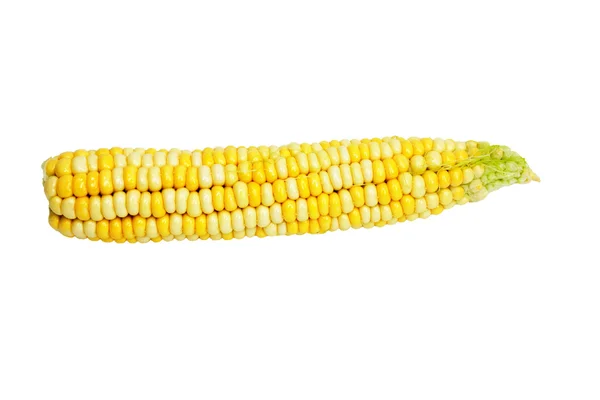 Mais isoliert auf weißem Hintergrund — Stockfoto