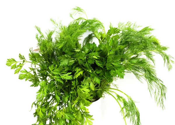 Dill and parsley are shown in the picture. — Stock Photo, Image