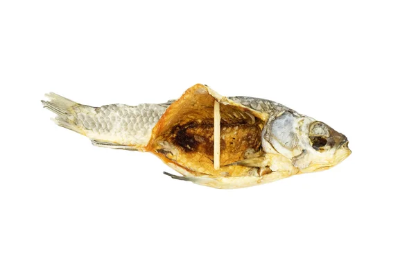 Pesce essiccato isolato su fondo bianco — Foto Stock