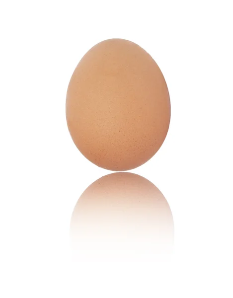 Ένα αυγό σε άσπρο φόντο — Φωτογραφία Αρχείου