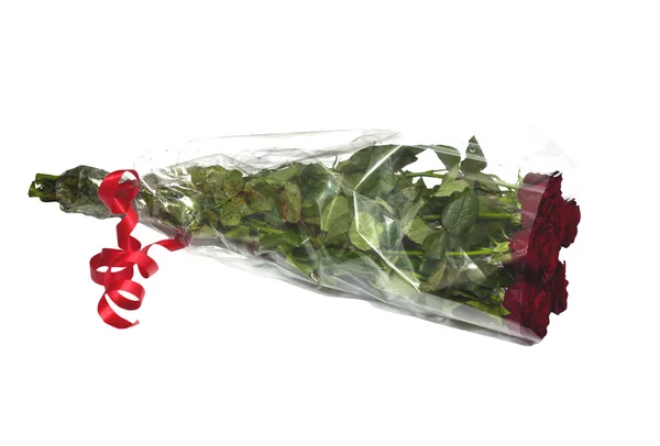 ดอกกุหลาบสีแดงสวยงามบนพื้นหลังสีขาว — ภาพถ่ายสต็อก